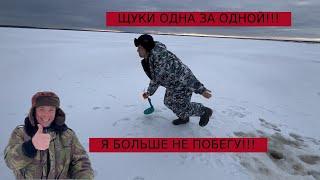 ЩУКИ НЕ ДАЮТ ПРИСЕСТЬ!!! Я БОЛЬШЕ НЕ ПОБЕГУ!!! ПОХОД НА ИЛЬМЕНЬ!