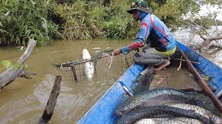 JEBAKAN IKAN BESAR KAMI SAMPAI BERGOYANG TERNYATA IKAN INI ISINYA