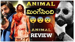 Animal Movie REVIEW | Telugu | Movie Matters