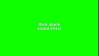 duck quack sound effect | GG Green Screens