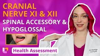 Cranial Nerve XI & XII: Spinal Accessory & Hypoglossal - Health Assessment for Nursing | @LevelUpRN