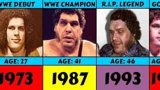 Andre The Giant From 1971 To 1993