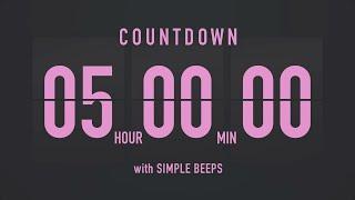 5 Hours Countdown Flip Clock Timer / Simple Beeps 