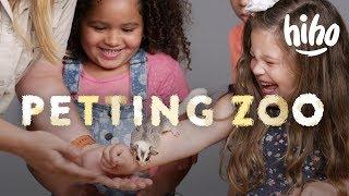 Kids Meet Sugar Gliders, Chickens, and Guinea Pigs! | HiHo Petting Zoo | HiHo Kids