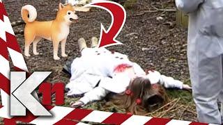 Gute Spürnase: Hund stößt zufälligerweise auf Ritualmord! | 1/2 | K11 - Die neuen Fälle | Sat.1