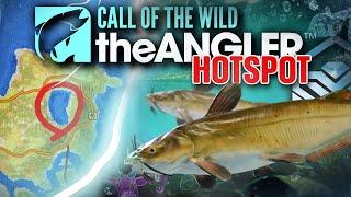 The DIAMOND Guide For Channel Catfish, EVERYTHING You Need To Know! | Call of the wild the angler.