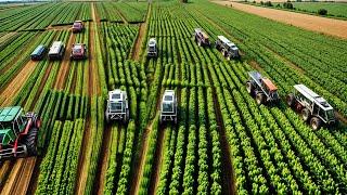 CHINA'S SMART CROP HARVESTING Revolutionizes Smart Farming