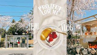 ENG) Jeju life vlog | Cherry Blossom Hunter |  jogging | productive life