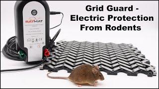 Testing Out The Grid Guard Electric Vehicle Rodent Protection System. Mousetrap Monday.