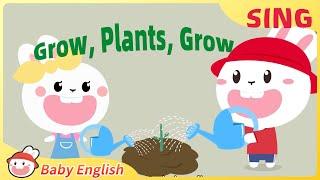 Grow, Plants, Grow+Let's Plant Some Seeds | Fun to Sing | Baby English | Plants