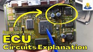 Engine Control Module (ECU) Circuits Working Explanation