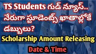 TS Scholarship Payment Releaseing Date & Time 2023 | How to check Scholarship Payment in  epass
