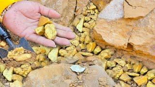 Wonderful  day! we expert gold decovery find a lot of treasure gold-digging much gold nuggets