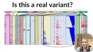 How to investigate structural variants: A bioinformatics tutorial