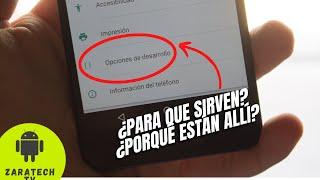 ¿PARA QUÉ SIRVEN LAS OPCIONES DE DESARROLLADOR EN NUESTRO DISPOSITIVO?