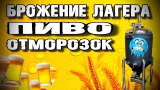 Как Сбродить пиво в ЦКТ . Температура , Давление . Лагер ОТМОРОЗОК , первый раз такое делаю !!!