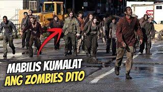 Dahil Sa Kagat Ng Pusa Naging Zombies Sila At Mabilis Kumalat | Movie Recap Tagalog