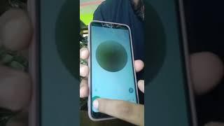 Whatsapp Chat video record