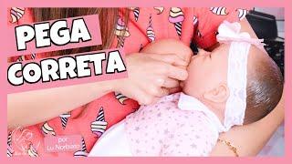  COMO AJUDAR O BEBÊ A FAZER A PEGA CORRETA - O que é uma boa pega na amamentação?