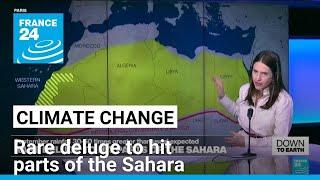 Down to Earth: Rare deluge to hit parts of the Sahara • FRANCE 24 English