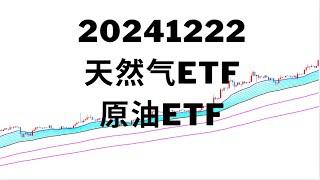 311：美股PLTR，DXYZ，TSLA，AVGO，GOOG，天然气ETF， UNG，原油ETF  ， SCO