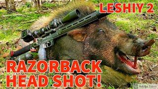 RAZORBACK HOG HUNT - EDGUN LESHIY 2 - HEAD SHOT!  - .30 CALIBER - NSA SLUG - AIRGUN HUNTING HOGS