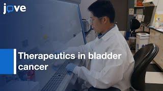 3D Cell Culture to Evaluate Therapeutics in bladder cancer | Protocol Preview