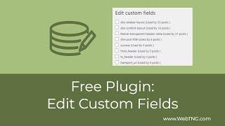 Free Plugin:  Edit Custom Fields