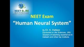 Human Neural System [Biology] for NEET/AIIMS/JIPMER Preparation | Dr. A. Hafeez | Neet Sure