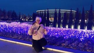 Фиолетовый светящийся шалфей Ночная поездка в Парк Галицкого! Краснодар