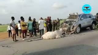 4 wheel drive destroyed as it collides with herd of cattle on the Accra Aflao Highway