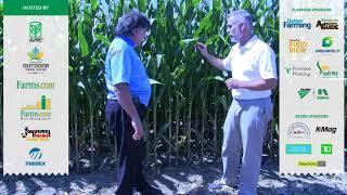 Minimize light interception in your corn field to maximize yields