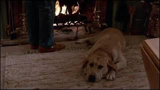 Funny Farm - Yellow Dog - Fireplace Scene