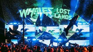 WHALES LOST LANDS 2023 MIX