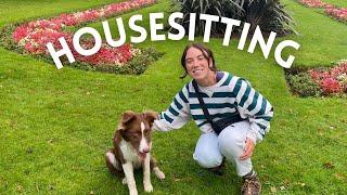 Become a House Sitter on TrustedHousesitters WITHOUT Experience