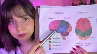 ASMR | Examinando suas funções cerebrais