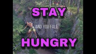 STAY HUNGRY - HIGH IMPACT MOTIVATION - SPEAKER - Terrence Harding