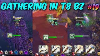 Solo Gathering in Black Zone | GATHERING SESSION #19 |  ALBION ONLINE