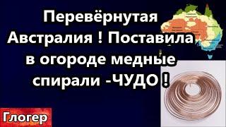 Перевёрнутая Австралия неужто правда ? В огороде поставила медные спирали и ЧУДО ! #США # Глогер