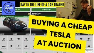 Trying to buy a cheap Tesla at Aston Barclay Auction