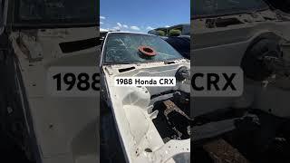 Junkyard Find! What’s left of a 1988 Honda CRX #shorts