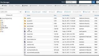 How to show hidden files in cPanel
