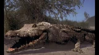 Crocodile (Crocodile 2000) Sounds