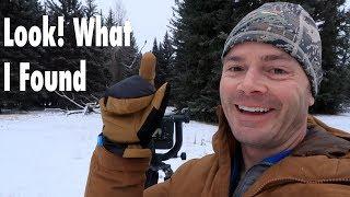 Look What I Found! | Snowstorm Wildlife Photography in Jackson Hole