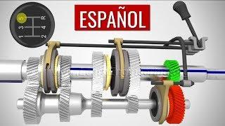 Transmisió manual, ¿cómo funciona?