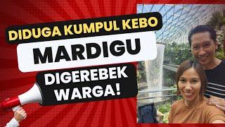 BREAKING!! EXCLUSIVE MOMENT MARDIGU TERTANGKAP KAMERA SAAT HENDAK DI GREBEK BERSAMA SELINGKUHAN NYA.