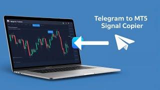 Introducing the Telegram to MT5 Signal Copier