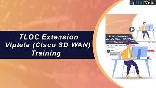 TLOC Extension - Viptela (Cisco SD-WAN) Training