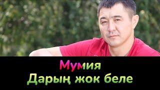 Кыргызча Караоке Ынак Осмоналиев Мумия дарын жок беле