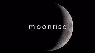 FREE Juice WRLD, D Savage, BigTreeSteve Type Beat: Moonrise (Prod. by Shayrowdy)